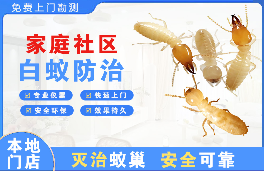永川家庭社区白蚁防治