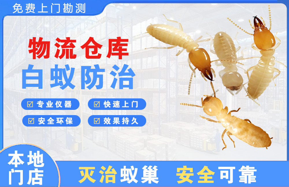 永川物流仓库白蚁防治