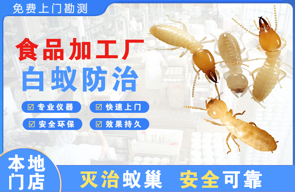 永川食品加工厂白蚁防治