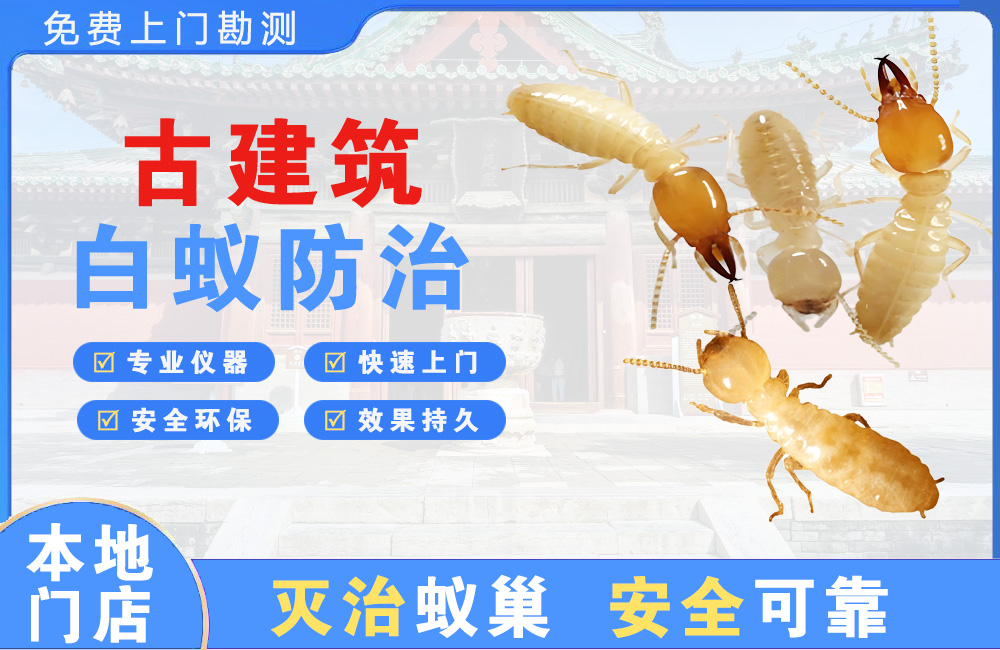 永川古建筑白蚁防治
