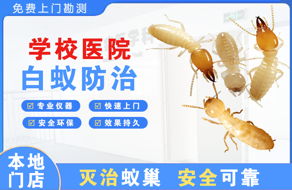 永川学校医院白蚁防治